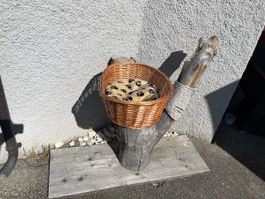 Kratzbaum mit Korb & Kuschelkissen für draussen