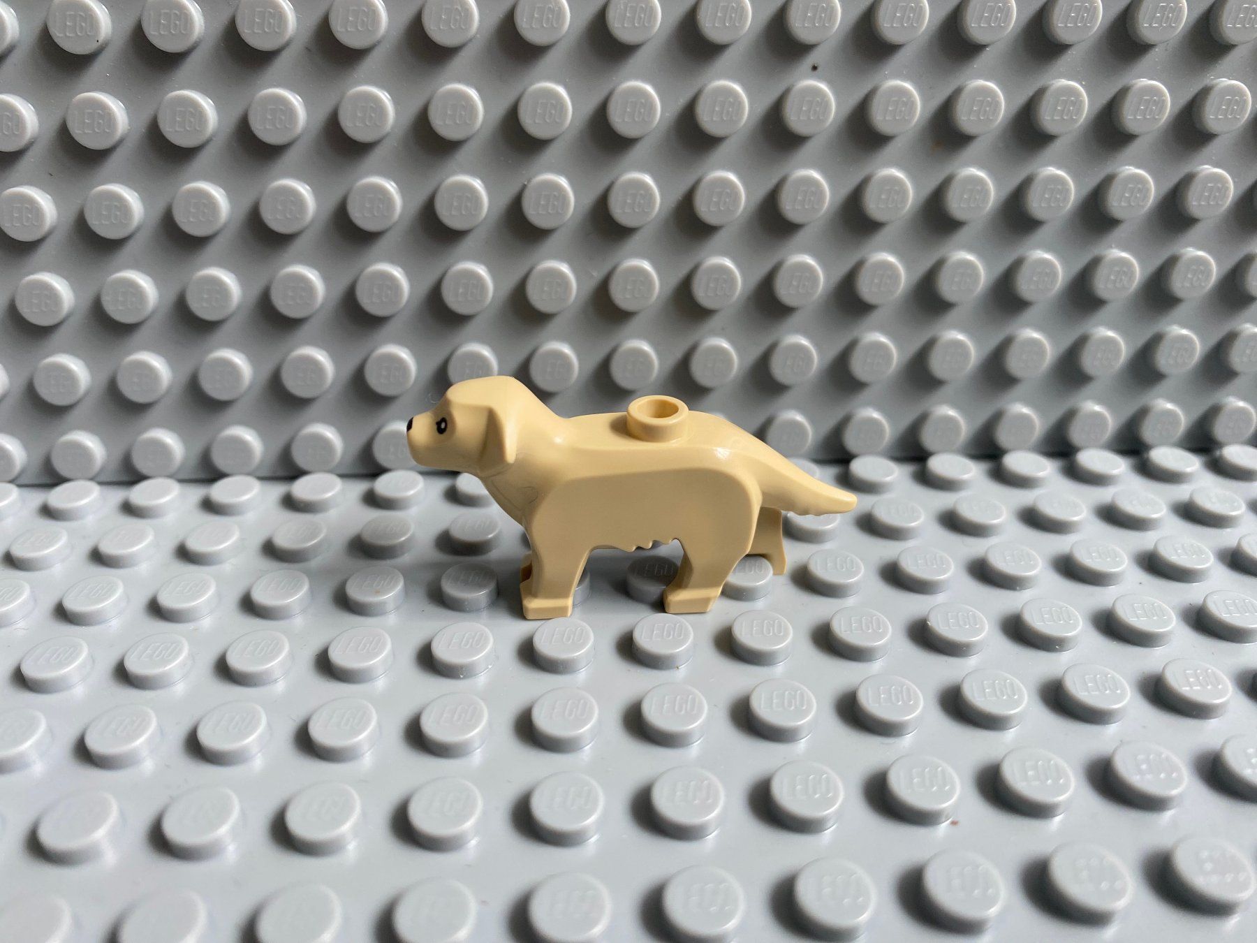 Lego Baukästen: Lego Tiere - Hund Labrador – Neu (gemäss Beschreibung) aus Horw von G39517sG 1