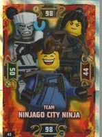 LEGO NINJAGO TRADING CARD SERIE 5 # 43 TEAM NINJAGO CITY NIN