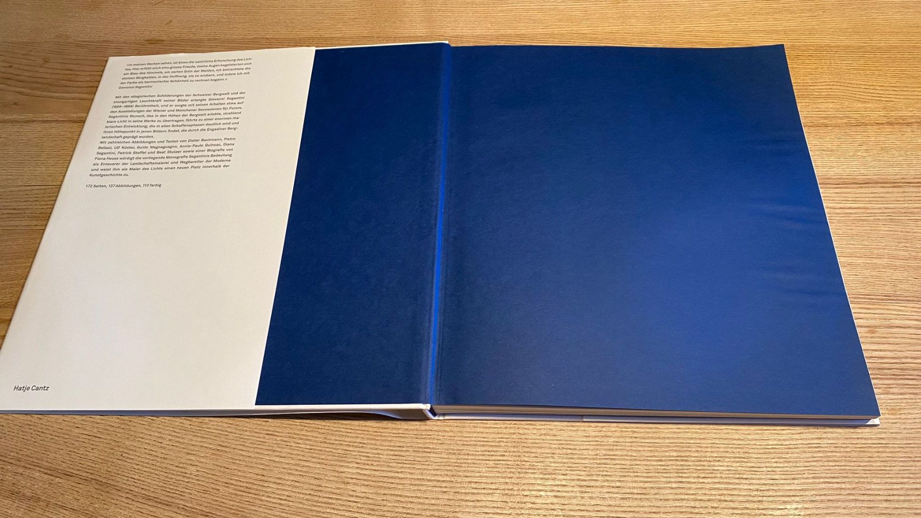 Libri: Kunstbuch von Segantini – Usato da Röschenz venduto da Tashroal 3