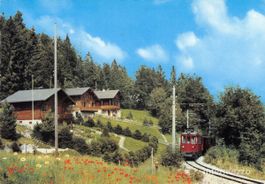 St. Cergue VD // Bahn Chemin-de-fer Nyon - St. Cergue