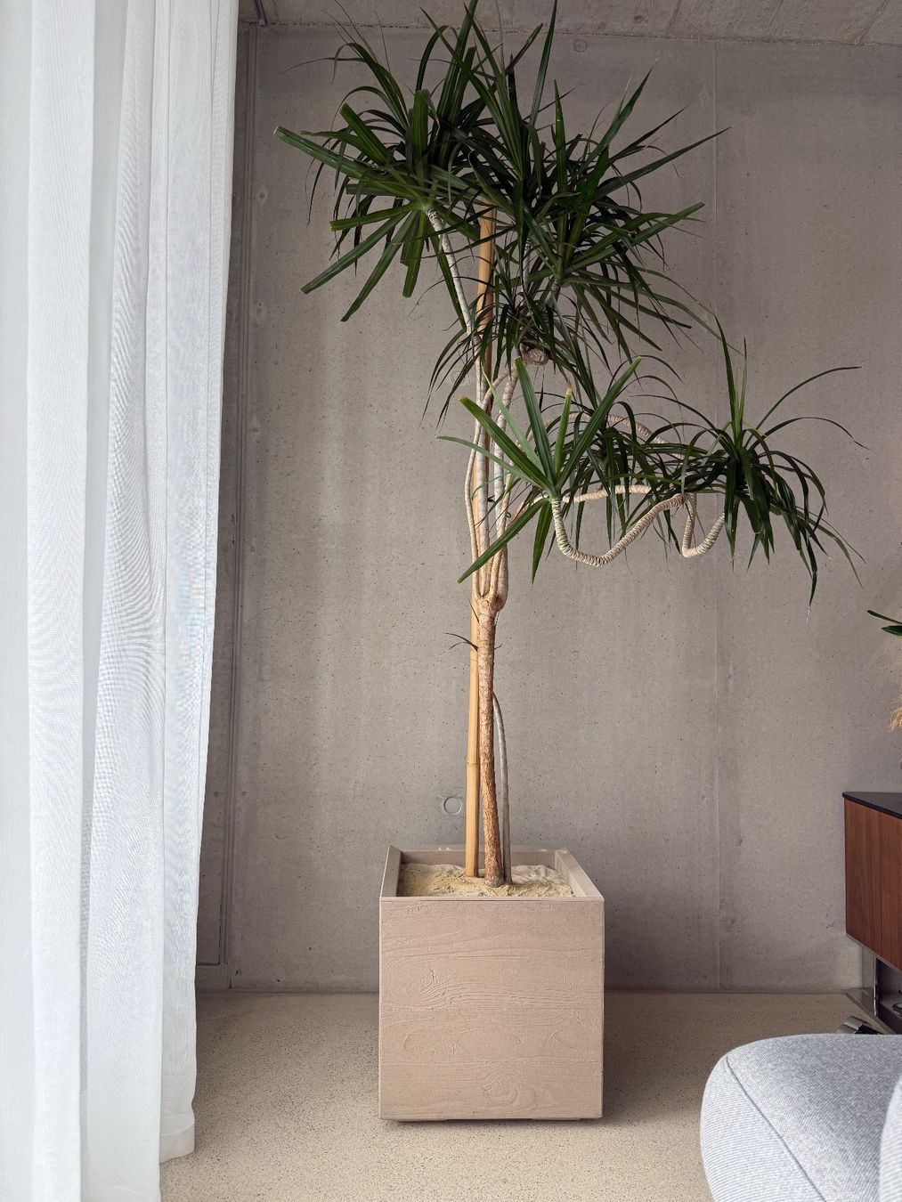 TCHIBO Pflanzkasten Blumenkasten Blumentopf auf Rollen NEU (Neu und  originalverpackt) in Rotkreuz fr CHF 89  mit Lieferung auf Ricardo kaufen
