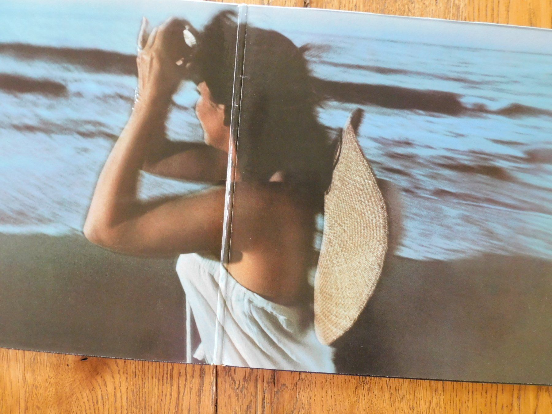 Schallplatten: Linda Ronstadt - Hasten down the  Wind – Gebraucht aus Emmenbrücke von  1