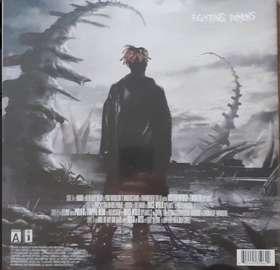 Dischi in vinile: Vinyle Juice WRLD Fighting Demons - LP Come Neuf – Usato da Etoy venduto da vin_hss9 1