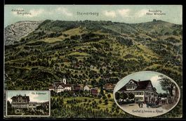 Künstler-AK Steinerberg, Gasthof Pension z. Rössli, Villa Au