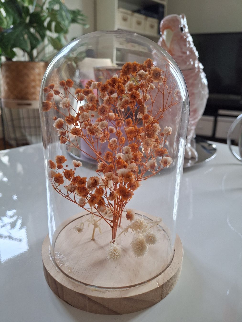 Tutte le decorazioni: 2 Décorations florales sous cloche  – Usato da Lausanne venduto da Cognitia 2