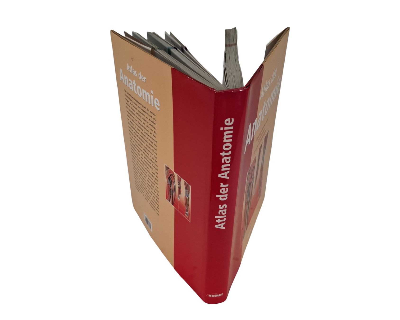 Libri: KOMET Atlas der Anatomie – Usato da Wil SG venduto da Restwert_Wil 3