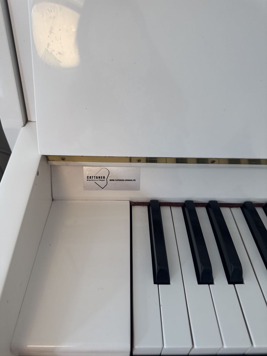 Strumenti musicali: HYUNDAI Klavier – Usato da Untersiggenthal venduto da kaanzurich 2