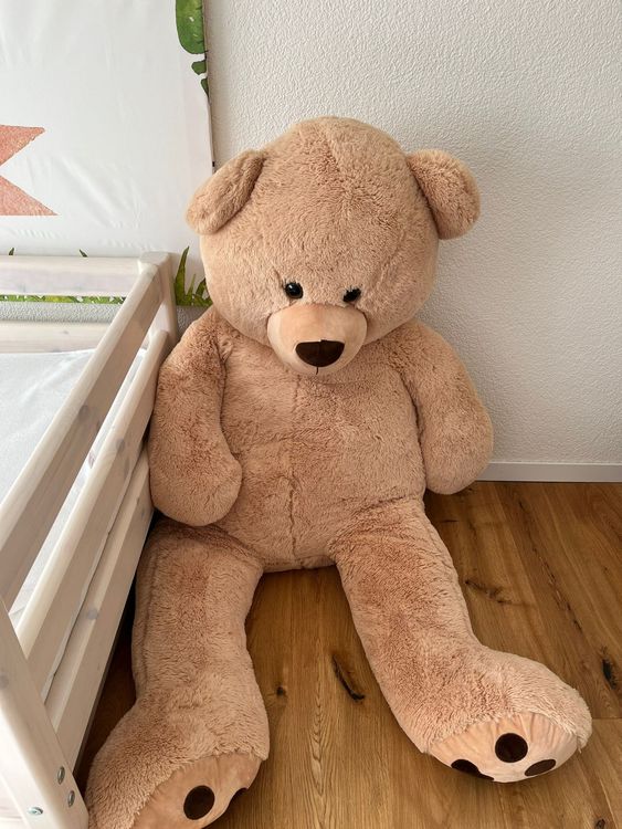 Groer Teddybar Xxl