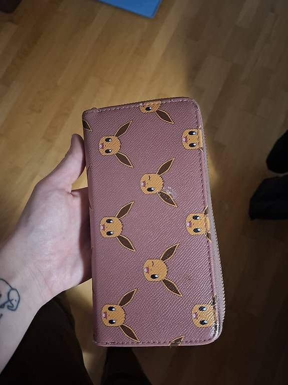 Carte collezionabili: Pokemon Evoli Portmonnai – Usato da Pfäffikon SZ venduto da yello13 2