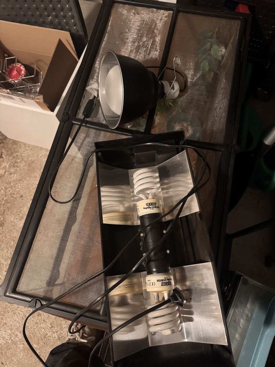 Terrario: Exo Terra Terrarium  – Usato da Thun venduto da rue_5hjl 1