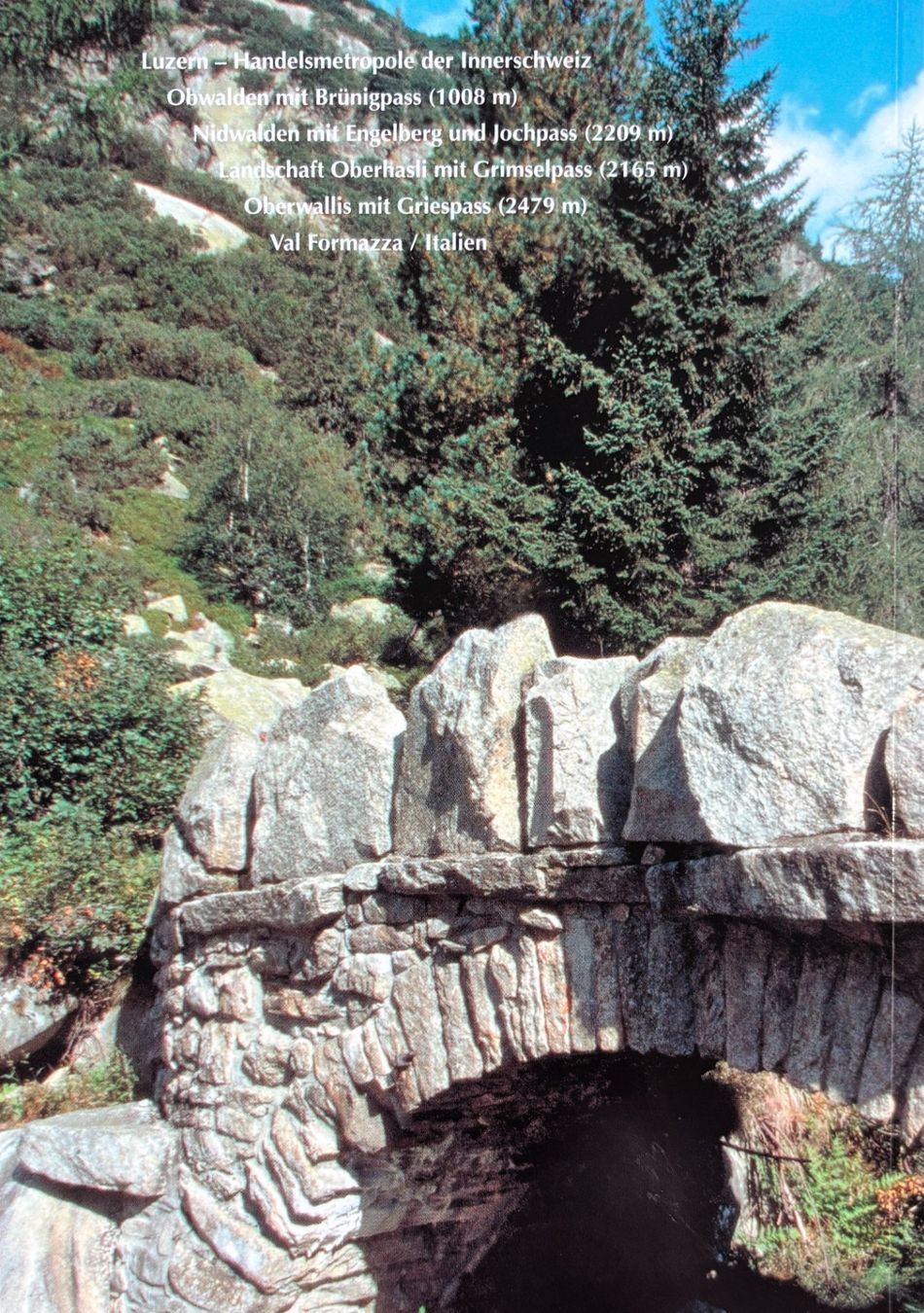 Libri: Pachtenfels Jürgen, Wege der Säumer – Nuovo (secondo la descrizione) da Sarnen venduto da Livres 1