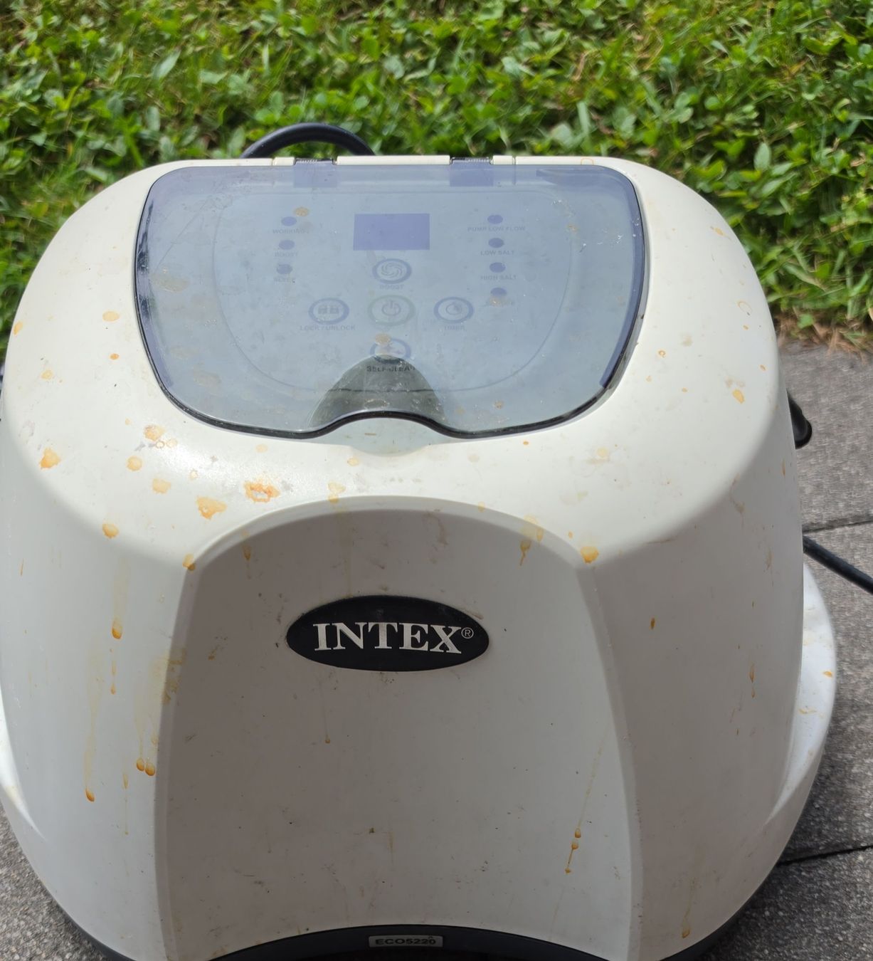 Intex Accessori per Piscine: Intex Salzwasser System Eco5220 – Usato da Belp venduto da DAKTIV
