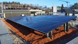 Solarmodul Photovoltaik-Modul AXIbiperfect 1 Stück (Neu)
