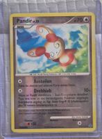 Pokémon Pandir lv.25 reversholo