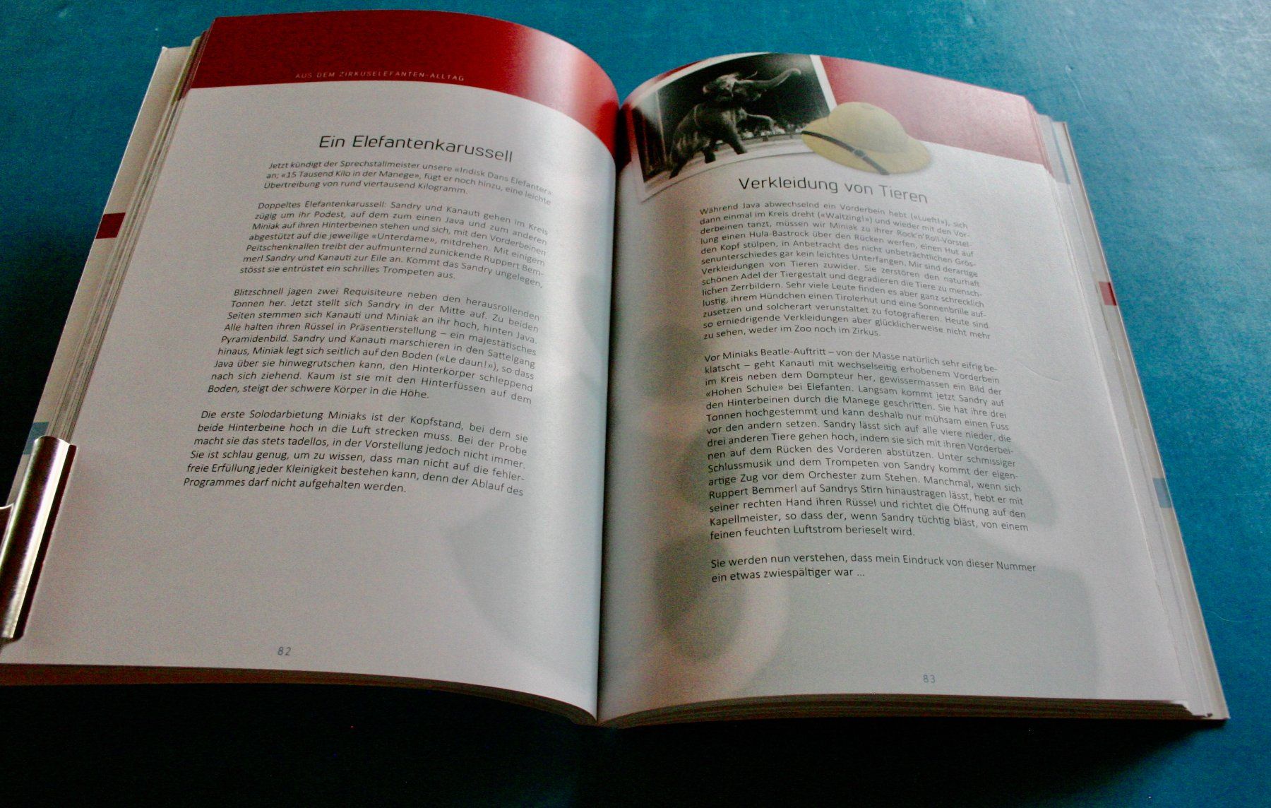 Libri: Zirkus Circus Mit Sandry nach Schweden – Usato da Winkel venduto da franzxaver60 2