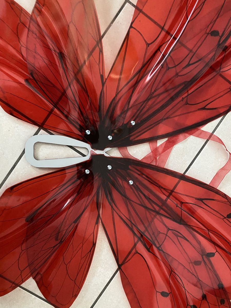 Kostüme: Shooting accessories / Cosplay / wings / Libellen Flügel – Gebraucht aus Olten von ale_nb2x 3
