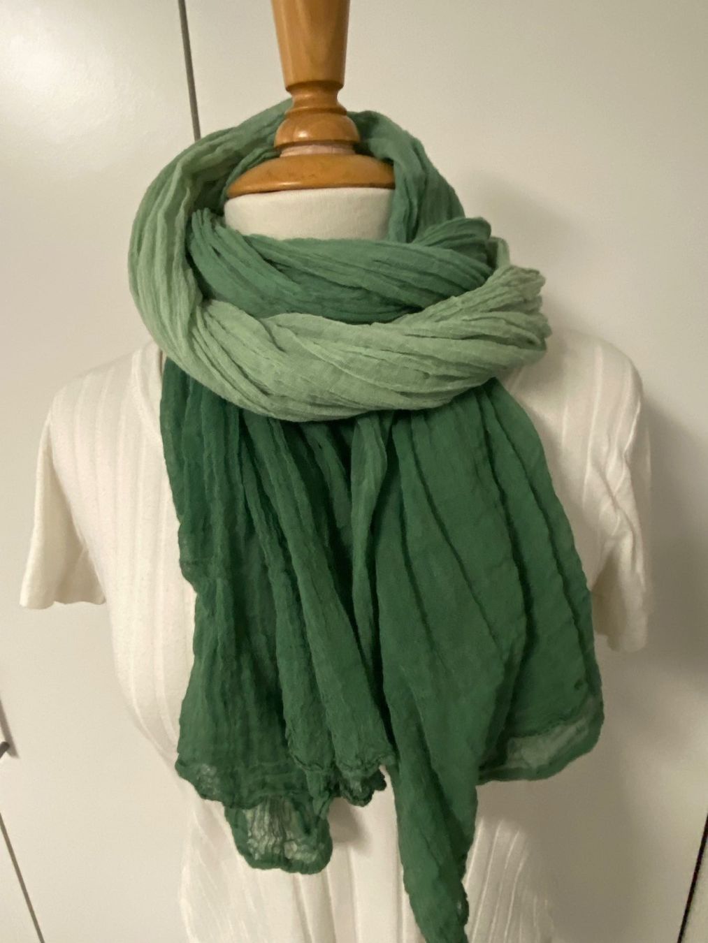 Foulard & Sciarpe: Schal grün mit Farbverlauf – Usato da Biel-Benken BL venduto da PANORMUS 2