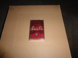 Def Leppard Slang/ Cassette guter Zustand 1996