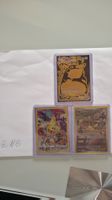 Pikachu Sammlung DE & ENG