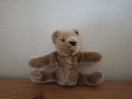 Steiff Teddybär mohair 50er Jahre vintage