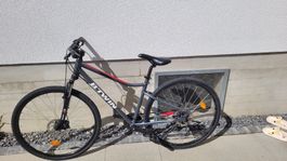velo femme 