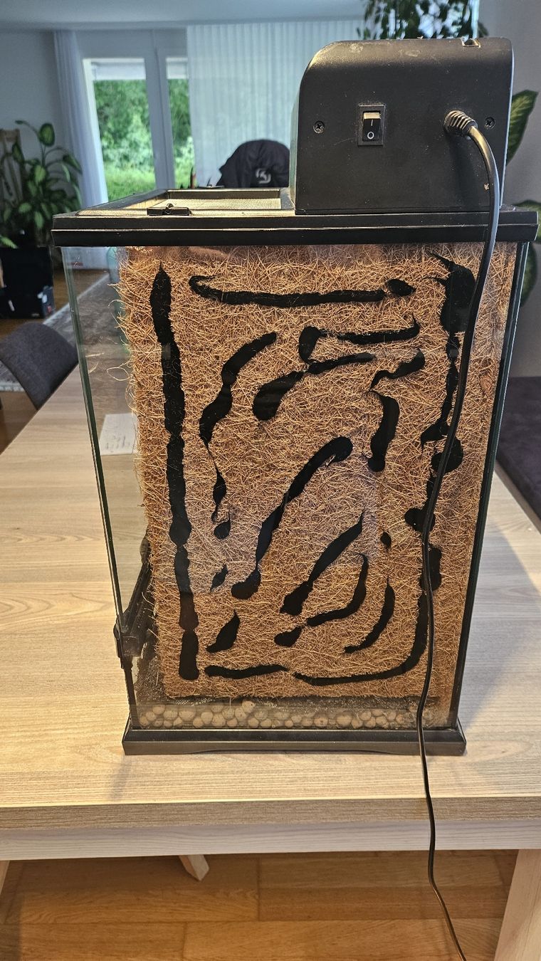 Terrario: Exo Terra Terrarium 30x30x47 mit Lampe – Usato da Zumikon venduto da Madsi41 1