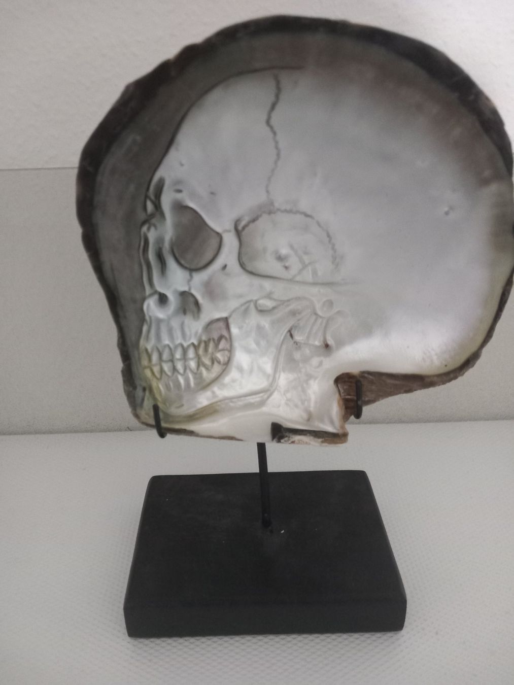 Fossili: Coquillage sculpté – Usato da Genève venduto da GenevaLuxury 2