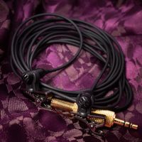 Mikrofon Fieldrecording Audio Digitalrecorder Musik Konzert