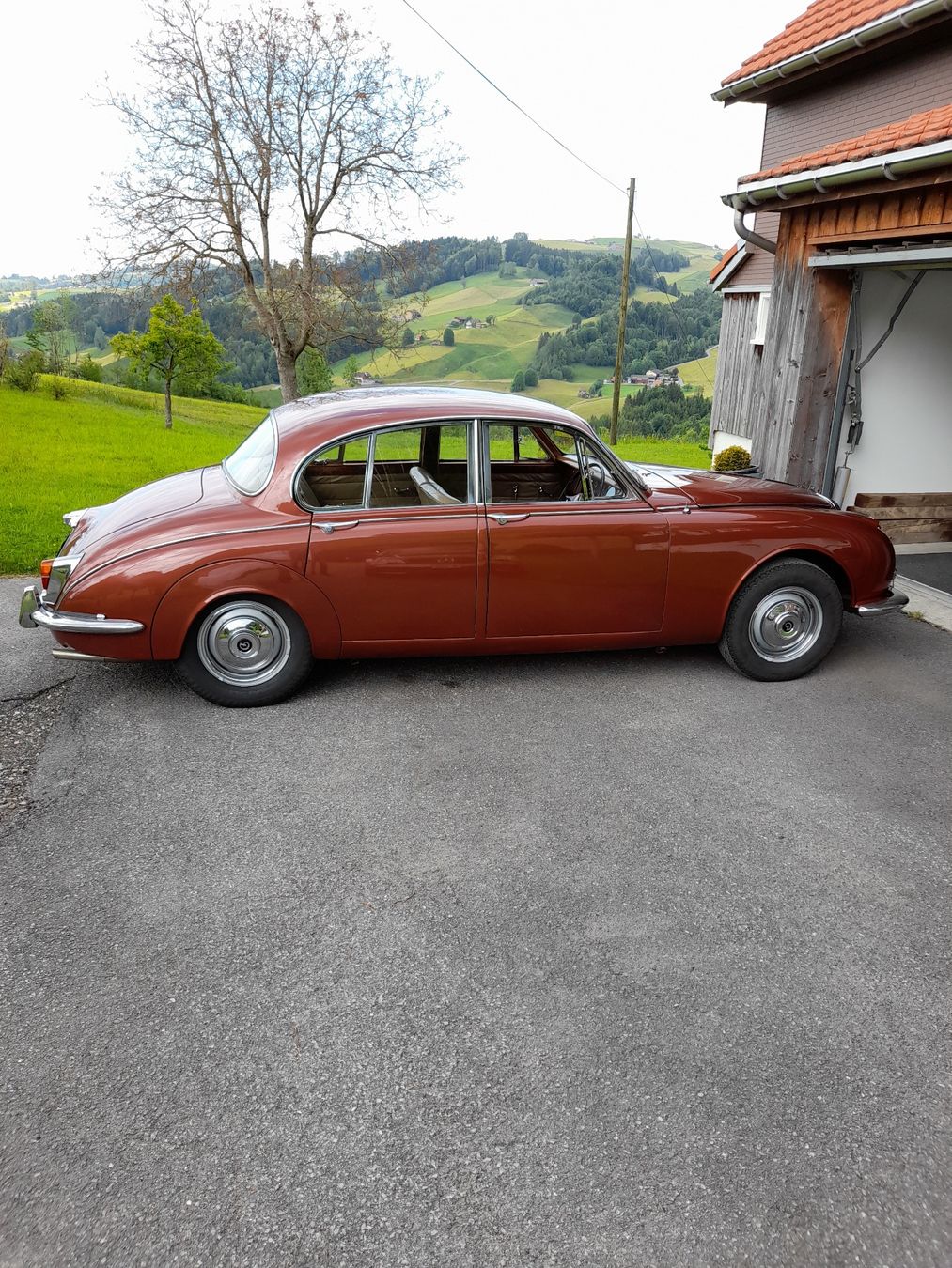 Daimler Automobili: Jaguar - Daimler V8 Oldtimer – Usato da weggis venduto da Minusio12 5