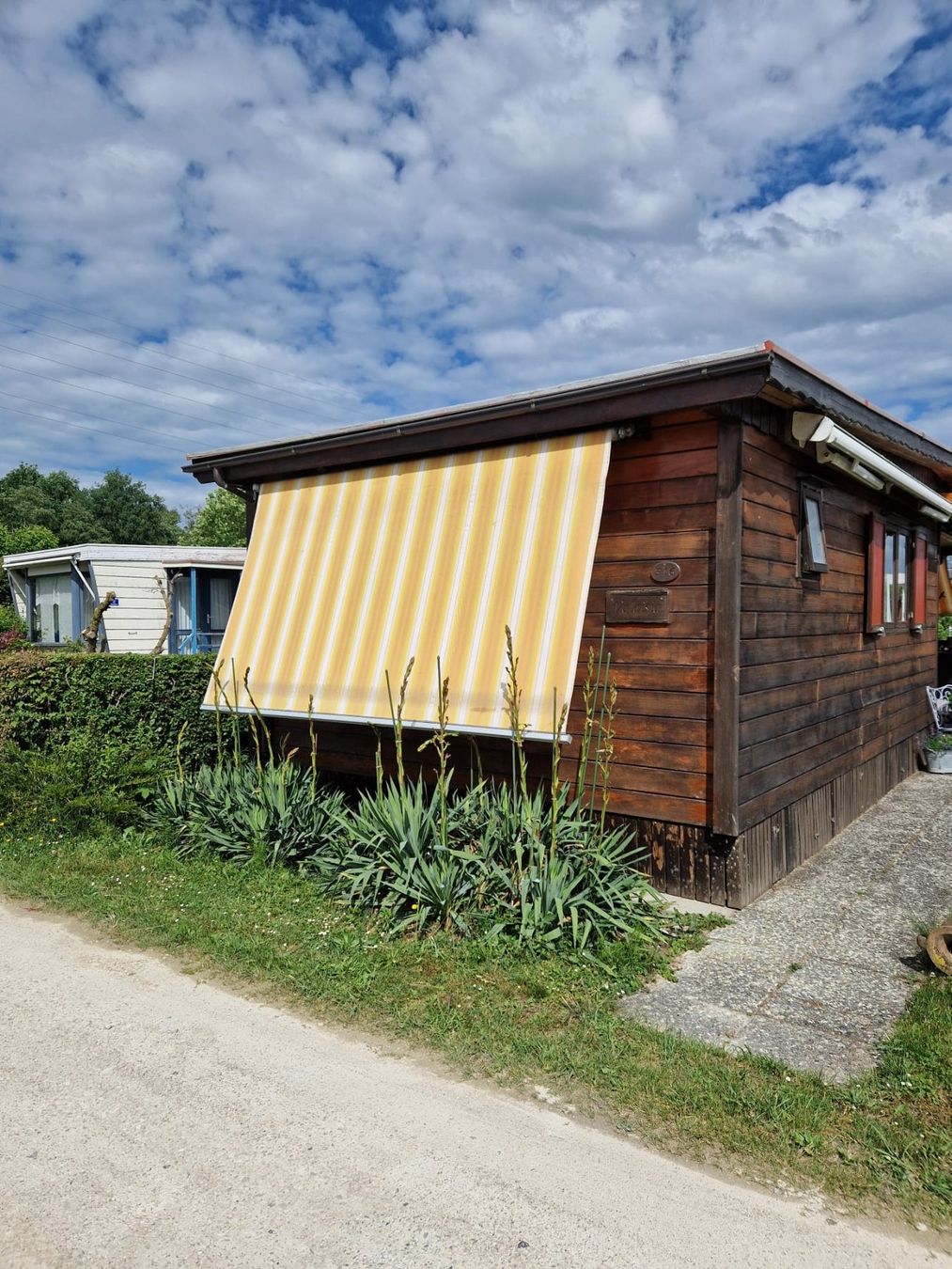 Tende da sole: Sonnenstore – Usato da Uttigen venduto da drehma