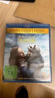 Blu-Ray Film RAUM - Liebe kennt keine Grenzen, Top Zustand