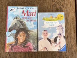 2 Jugendbücher Pferdegeschichten guter Zustand Lesen Paket