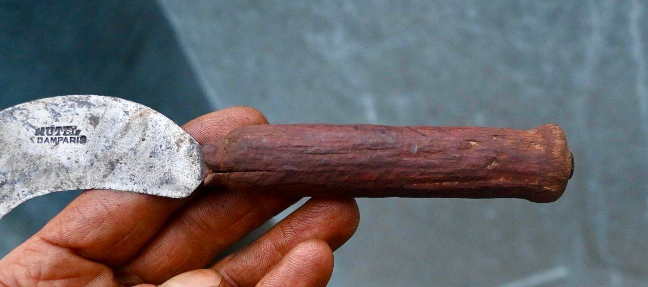 Tutti gli attrezzi: ANTIKE Handsichel Länge ca. 19cm - MUTEL À DAMPARIS – Usato da Pfaffhausen venduto da mono_rec 5