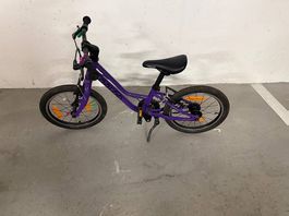 Naloo Chameleon 16 Zoll Kindervelo