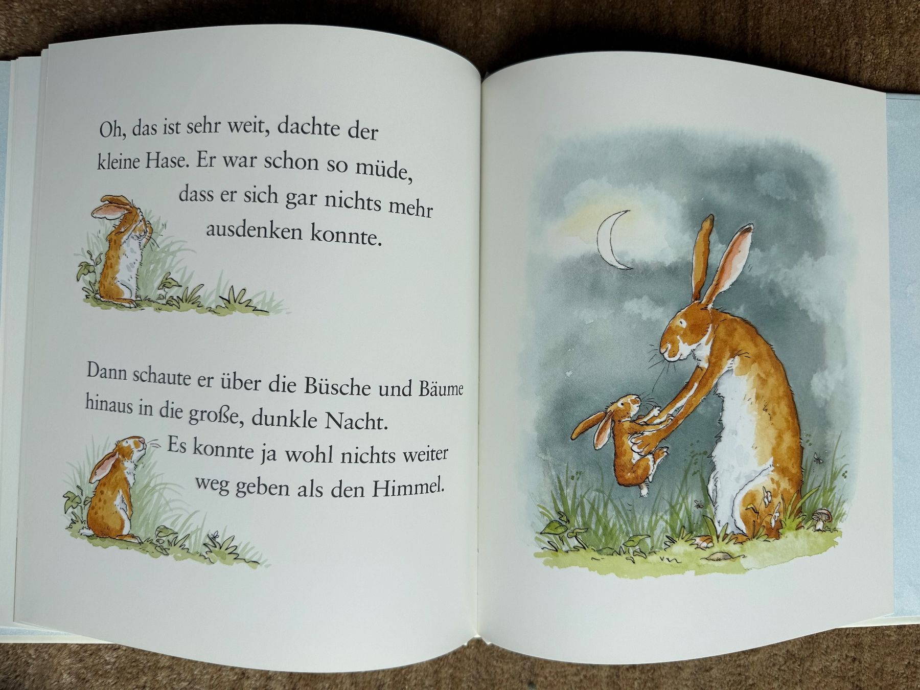 Bücher: Weisst du eigentlich wie lieb ich dich hab? – Neu (gemäss Beschreibung) aus Aarau von Kilauea 7