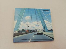 RAINBIRDS - RAINBIRDS3000.LIVE