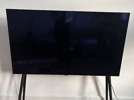 LG OLED TV 48 Zoll (121 cm)  sehr guter Zustand