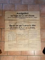 Armée Suisse 1916 Schweizer Armee Affiche Plakat Collector