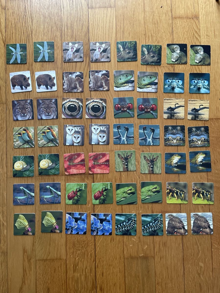 Giochi: Memory Spiel Wildnis Schweiz – Nuovo (secondo la descrizione) da Zürich venduto da silab69 2