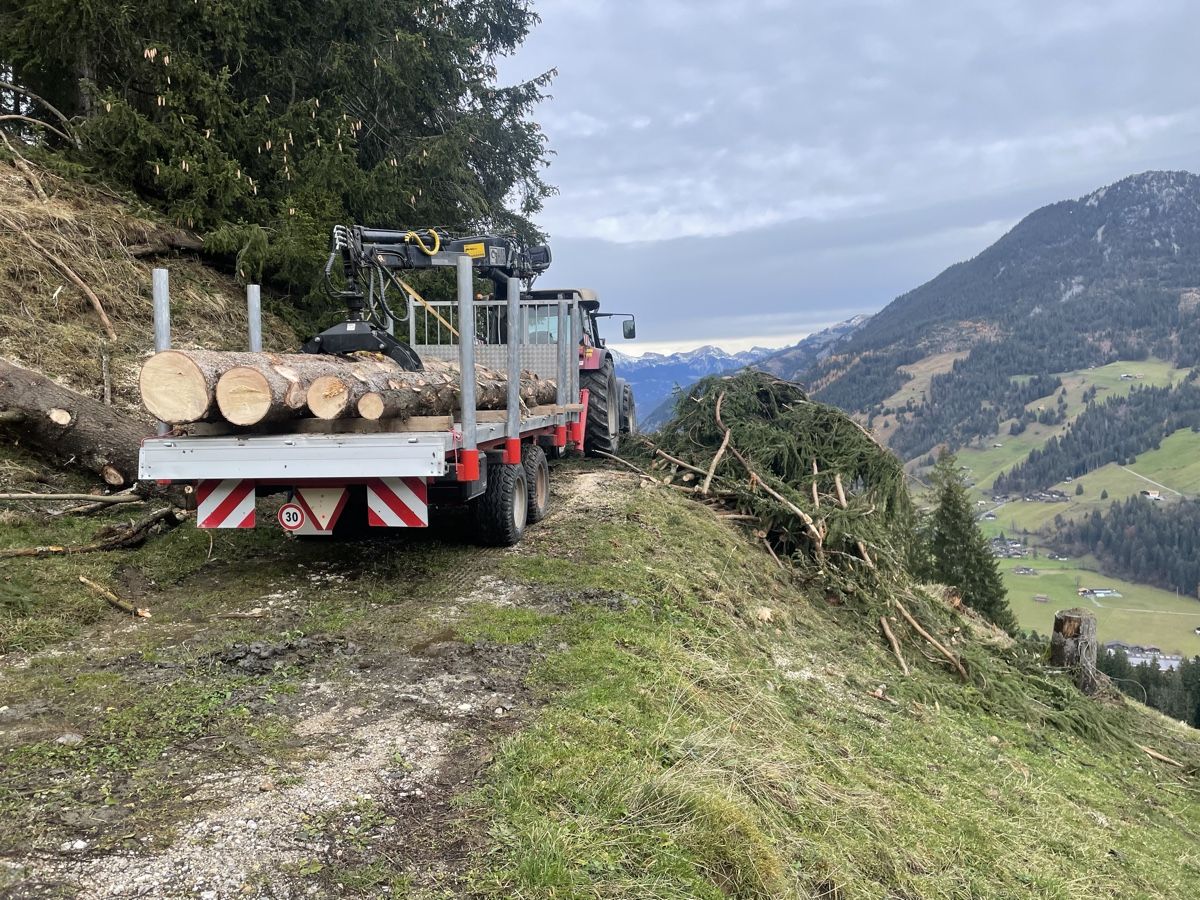 Rimorchi: Kran Anhänger Holzanhänger – Usato da St.Stephan venduto da Nano89 2