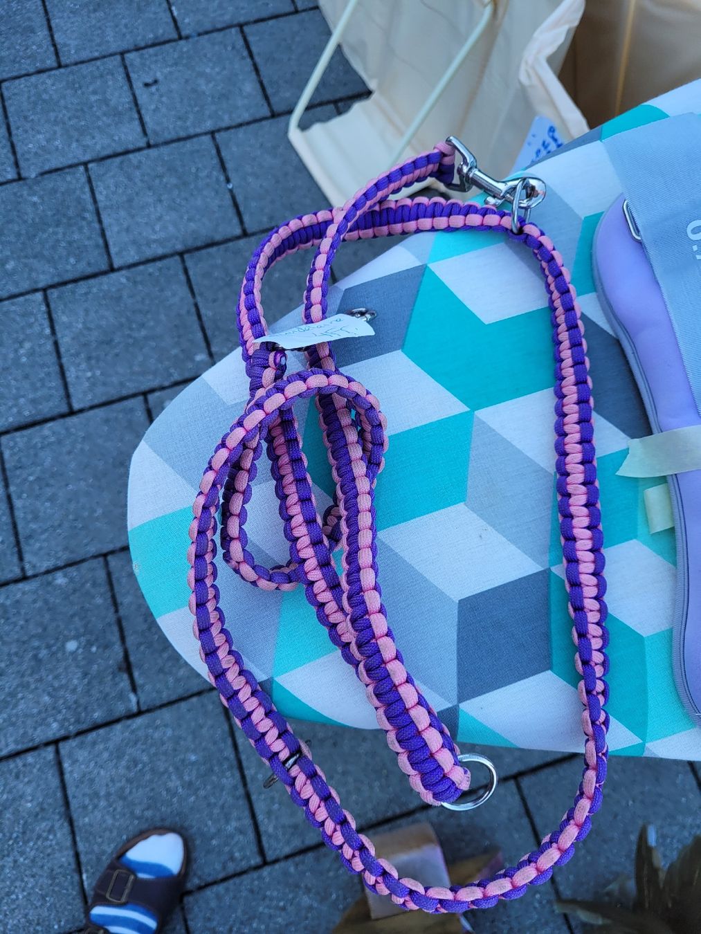 Collier et laisse: Hundeleine – D'occasion à Zihlschlacht par Sun25 1