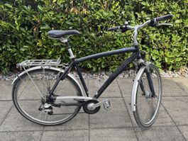 Citybike/Trekkingrad Wheeler All Terra Grösse 56cm