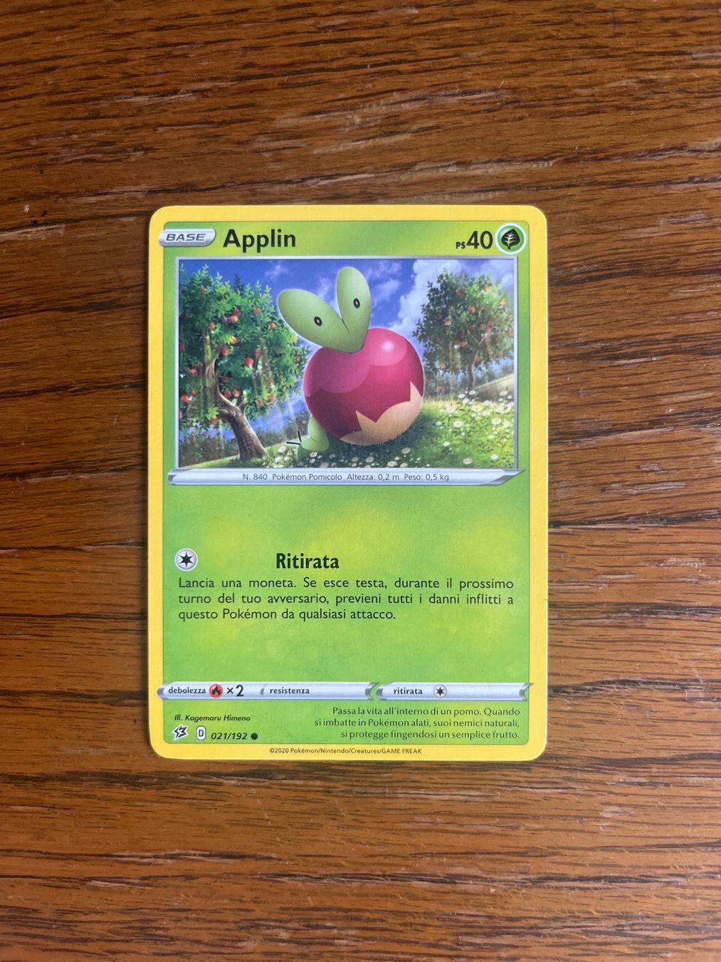 Pokémon Carte collezionabili: Carte Pokemon Applin - Rebel Clash - IT – Usato da Vernayaz venduto da Darkfrost