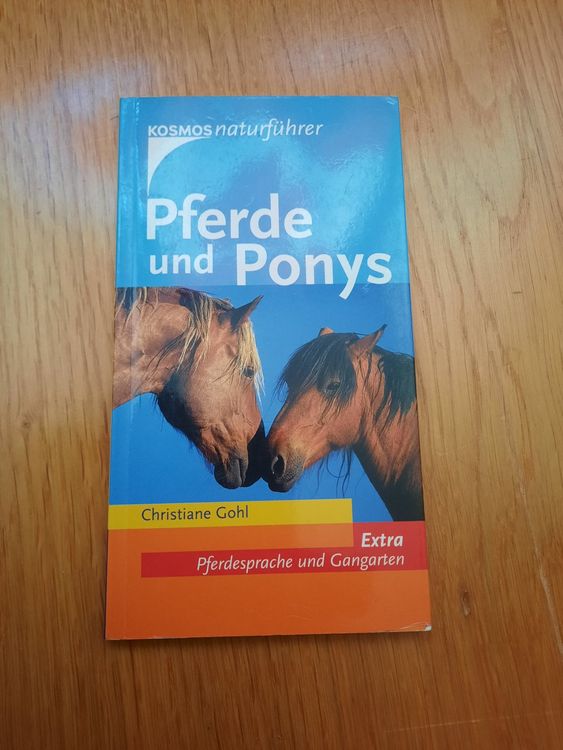 Pferde und Ponys | Kaufen auf Ricardo