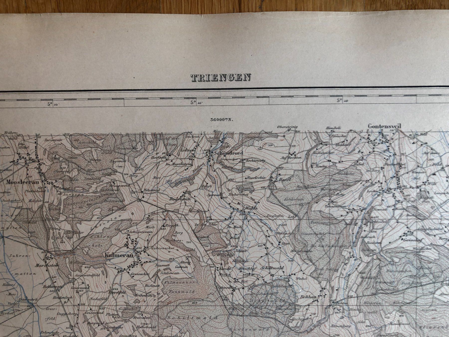 Landkarten & Atlanten: Siegfriedatlas Bl. 169: Triengen 1887 – Gebraucht aus Zürich von allp 2