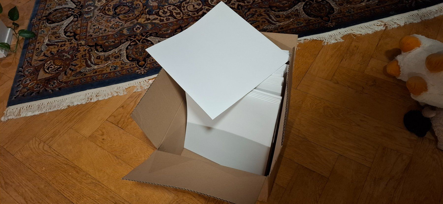 Schallplatten: LP Hüllen Weiss / Neu – Gebraucht aus Winterthur von Jpr_8fvm 1