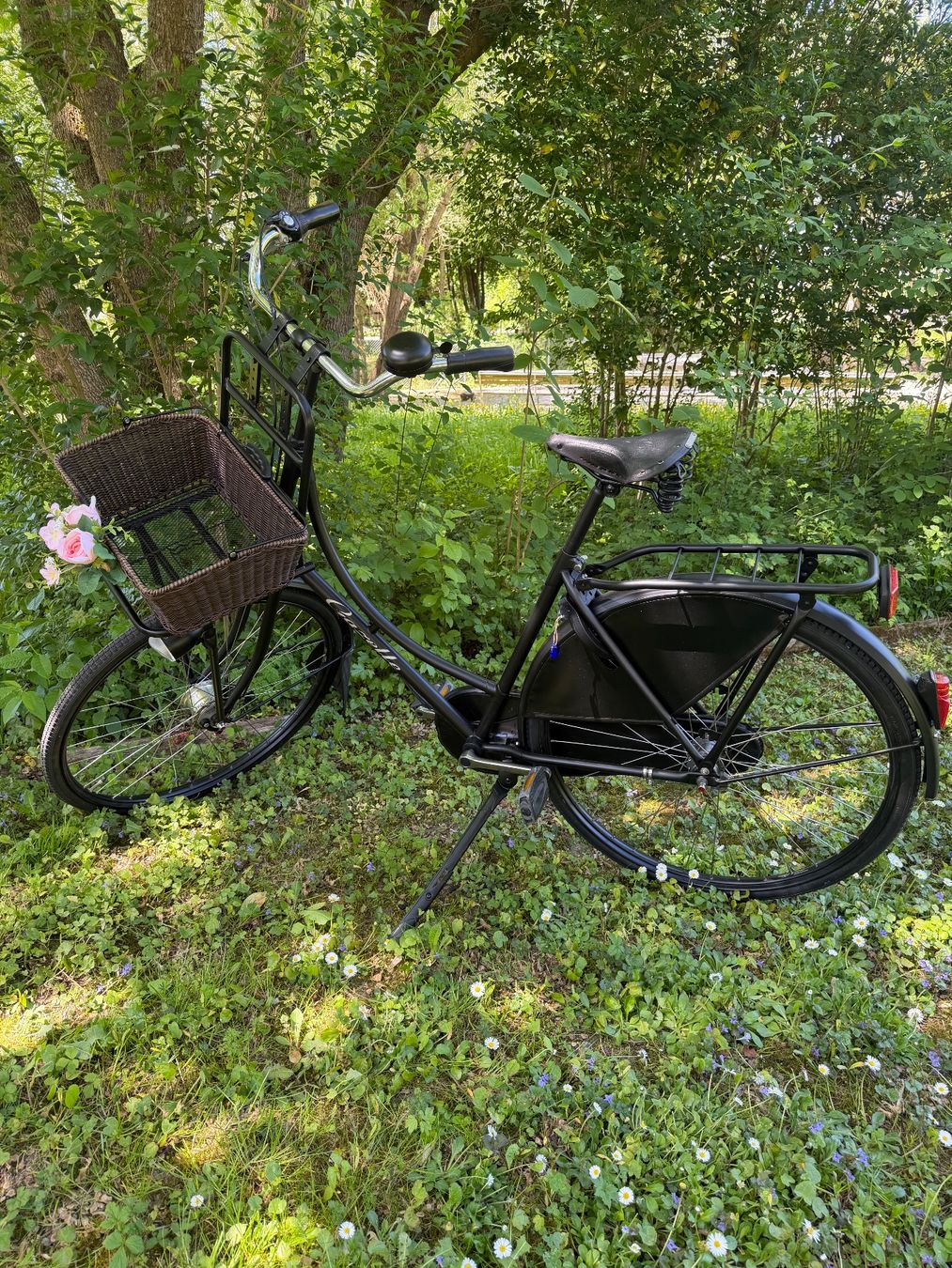Gazelle Velos: Gazelle Hollandvelo – Gebraucht aus Fällanden von Caramel7 1