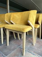8 Mustard Yellow Velvet and oak legs Dining Chairs