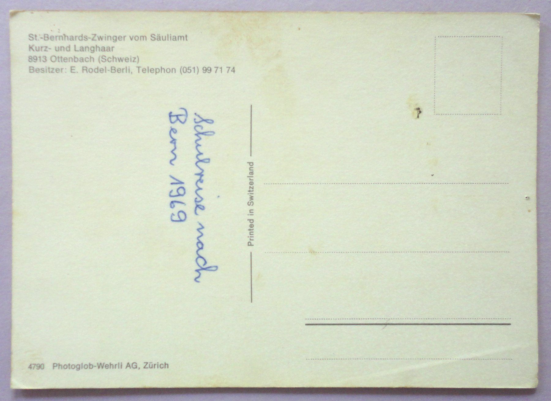 Cartoline postali: St-Bernard-Zwinger vom Säuliant – Difettoso da Fétigny venduto da Billy2miny 1